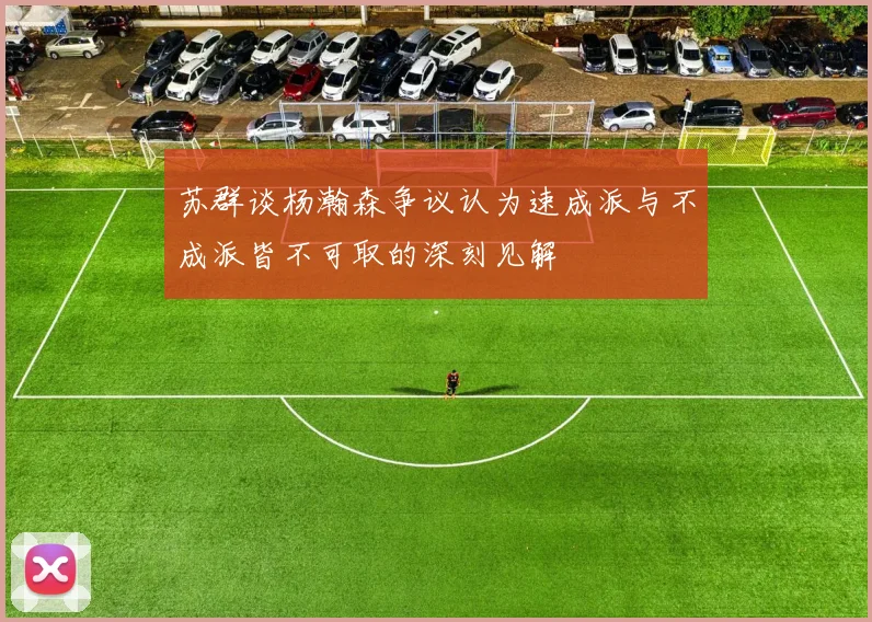 苏群谈杨瀚森争议认为速成派与不成派皆不可取的深刻见解