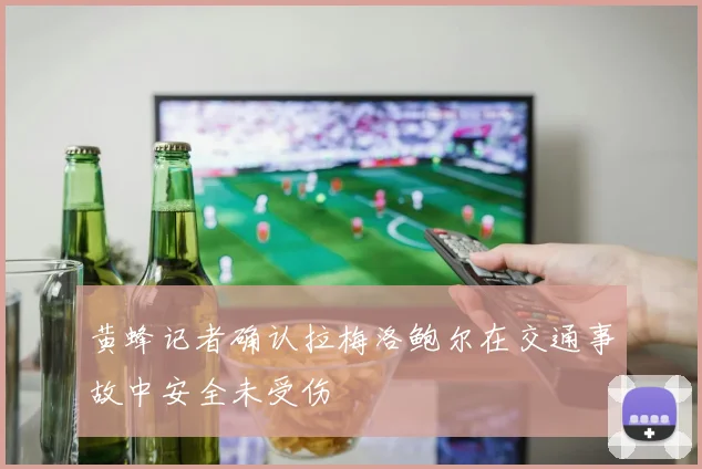 黄蜂记者确认拉梅洛鲍尔在交通事故中安全未受伤