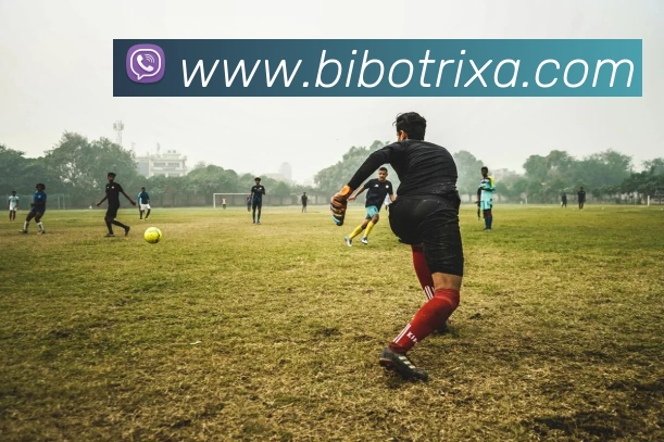 必博体育品牌故事