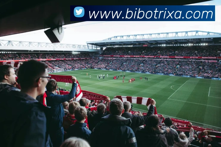 必博体育服务体系